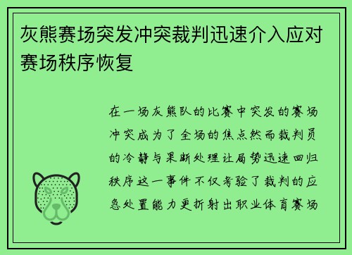 灰熊赛场突发冲突裁判迅速介入应对赛场秩序恢复